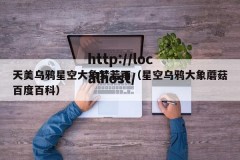 天美乌鸦星空大象梦若雨（星空乌鸦大象蘑菇百度百科）
